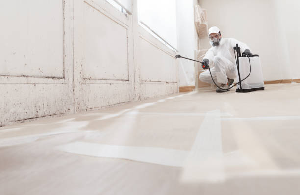 24/7 Emergency Attic Mold Remediation experts in Machipongo, VA