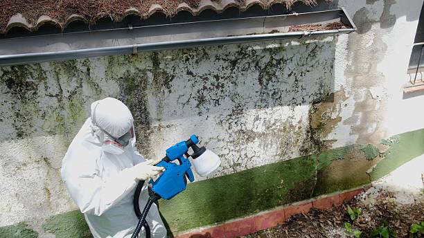 Top rated local Attic Mold Remediation specialists in Machipongo, VA